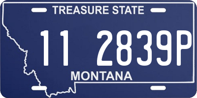 MT license plate 112839P