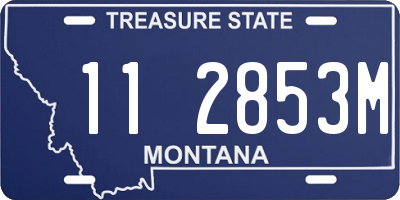 MT license plate 112853M