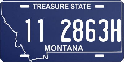 MT license plate 112863H