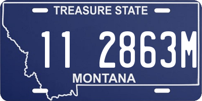 MT license plate 112863M