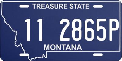 MT license plate 112865P
