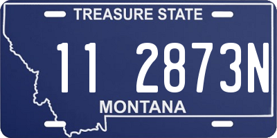 MT license plate 112873N