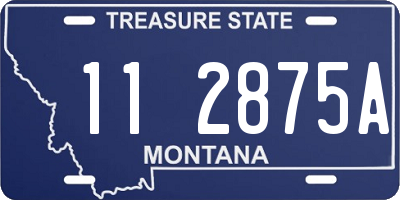 MT license plate 112875A