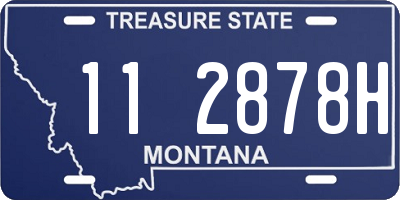 MT license plate 112878H