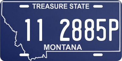 MT license plate 112885P