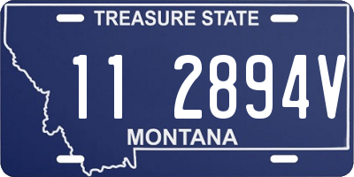 MT license plate 112894V