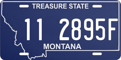 MT license plate 112895F