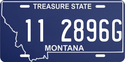 MT license plate 112896G