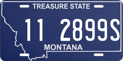 MT license plate 112899S