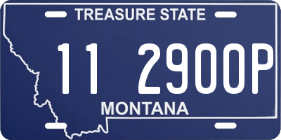 MT license plate 112900P