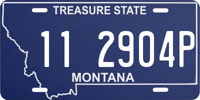 MT license plate 112904P