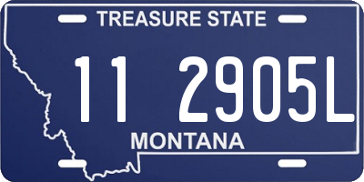 MT license plate 112905L