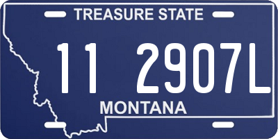 MT license plate 112907L