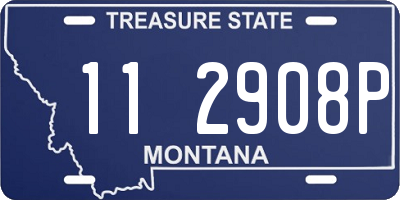 MT license plate 112908P