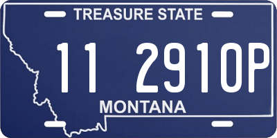 MT license plate 112910P