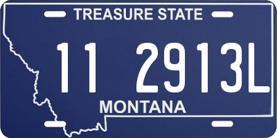 MT license plate 112913L