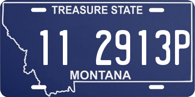 MT license plate 112913P