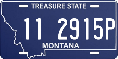 MT license plate 112915P