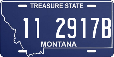 MT license plate 112917B