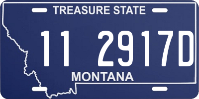 MT license plate 112917D