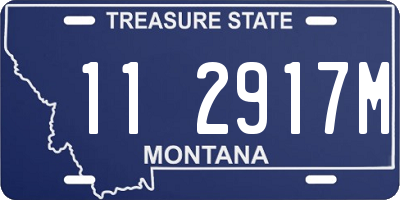 MT license plate 112917M