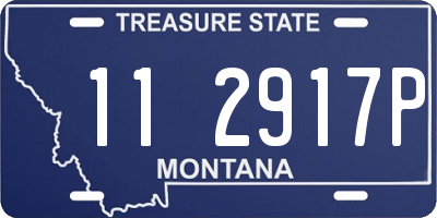 MT license plate 112917P