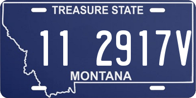 MT license plate 112917V