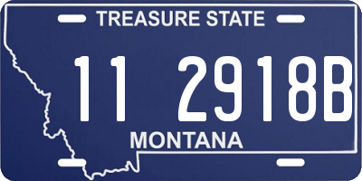 MT license plate 112918B