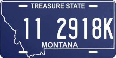 MT license plate 112918K