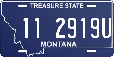 MT license plate 112919U