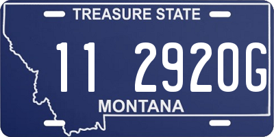 MT license plate 112920G