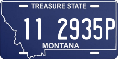 MT license plate 112935P