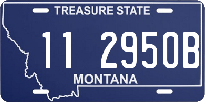 MT license plate 112950B