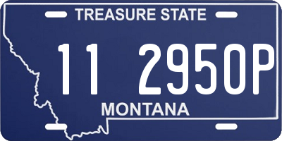 MT license plate 112950P