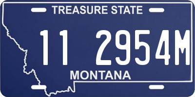 MT license plate 112954M