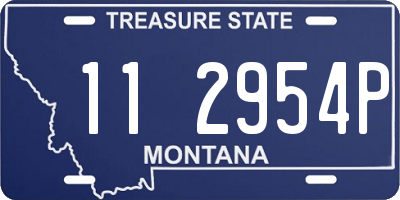 MT license plate 112954P