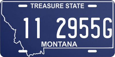 MT license plate 112955G