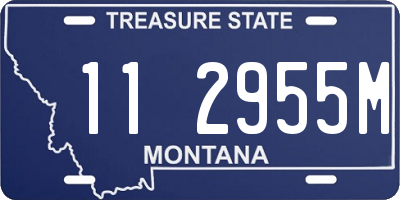 MT license plate 112955M