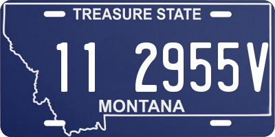 MT license plate 112955V