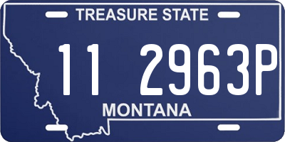 MT license plate 112963P