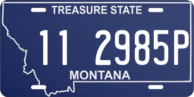 MT license plate 112985P