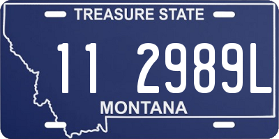 MT license plate 112989L