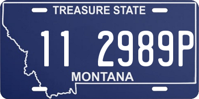 MT license plate 112989P