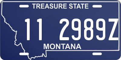 MT license plate 112989Z