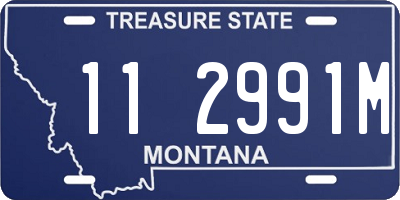 MT license plate 112991M