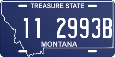 MT license plate 112993B