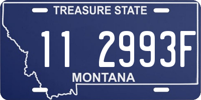 MT license plate 112993F