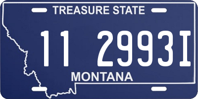 MT license plate 112993I