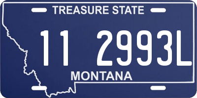 MT license plate 112993L