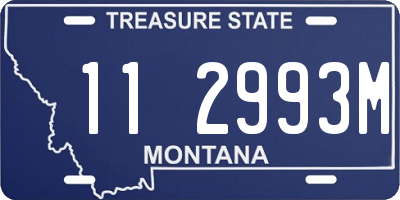 MT license plate 112993M